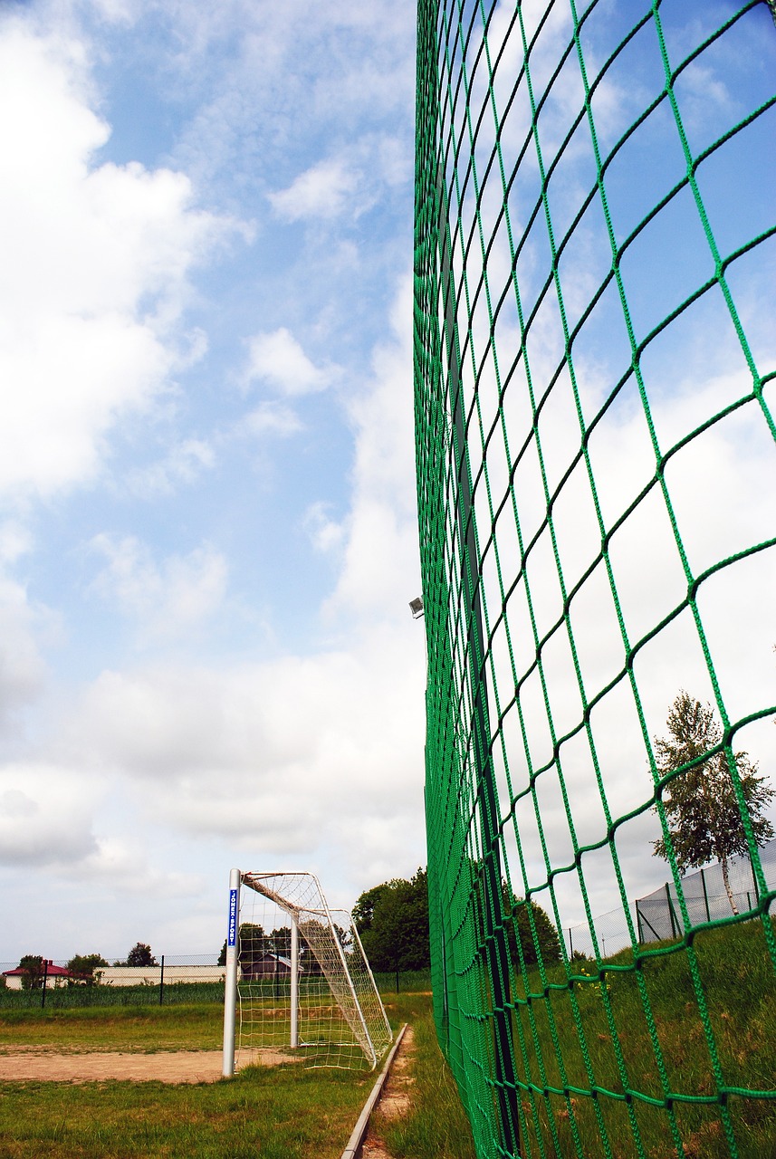 争夺属于他 争夺属于他