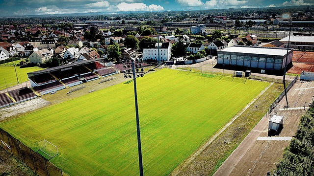 在疫情期间 在疫情期间