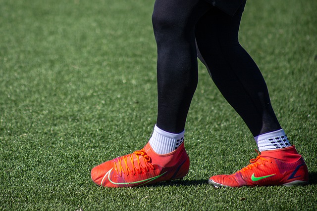 这波关注所 这波关注所